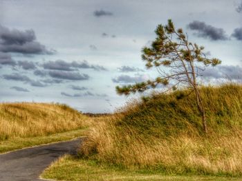 Road passing through field