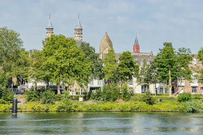 View of trees by river against buildings