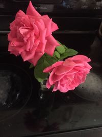 Close-up of pink roses in vase
