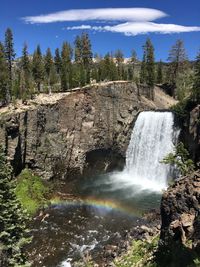 View of waterfall in forest