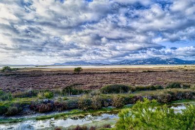 Scenic view of field against sky