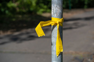 Close-up of yellow tied up on pole