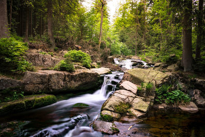 Stream flowing through rocks in forest