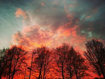 Silhouette trees against sky during sunset