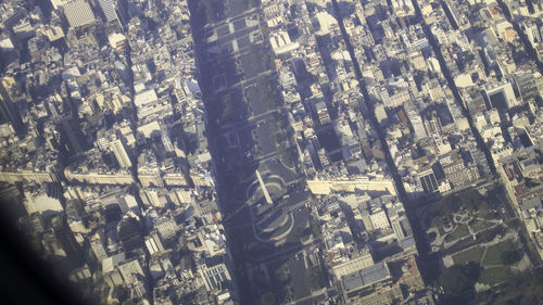 Full frame shot of tree