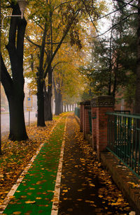 Footpath amidst trees in park during autumn