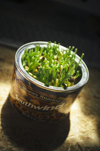 High angle view of salad in bowl on table