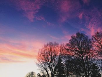 Low angle view of silhouette trees against sky at sunset