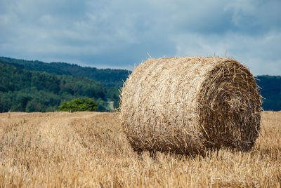 Scenic view of field against cloudy sky