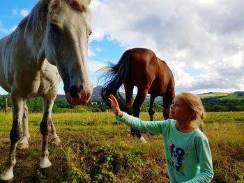 Girl reaching for horse on field