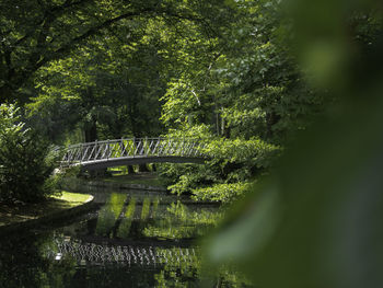 Bridge over lake in park