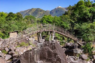 Traditional bamboo bridge for crossing river at forest at morning from low angle