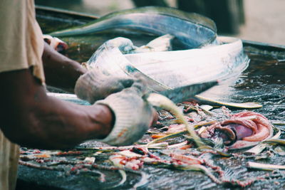 Close-up of hand holding fish