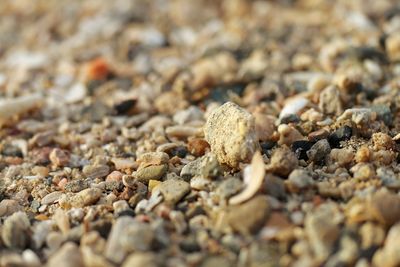Close-up of pebbles on beach
