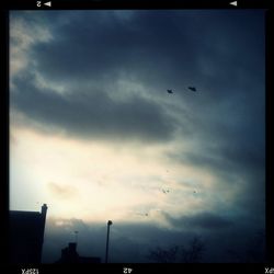 Low angle view of birds flying against cloudy sky