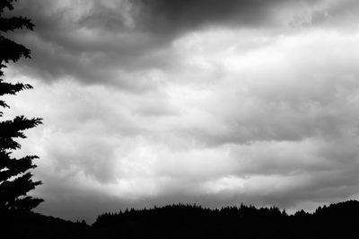 Low angle view of silhouette trees against storm clouds