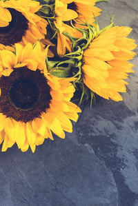 High angle view of sunflower against yellow wall