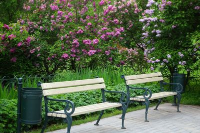 Empty bench in park