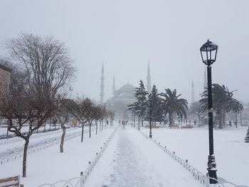 Snow covered street amidst trees against sky