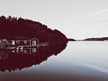 Reflection of trees in water