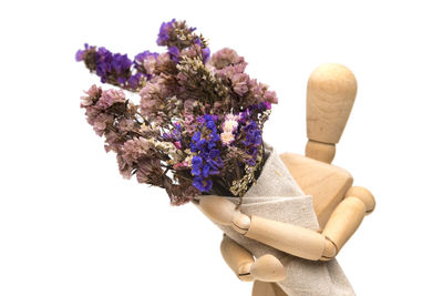 Close-up of purple flower against white background