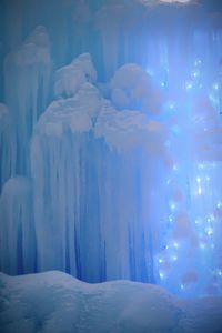 Close-up of icicles