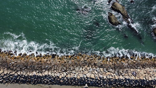 High angle view of fish swimming in sea