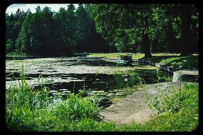 Scenic view of lake