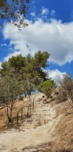 Footpath by trees against sky