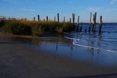 Wooden posts in sea against sky