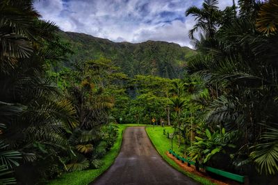 Road amidst plants and trees against sky