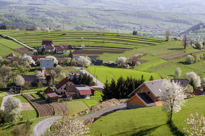 High angle view of agricultural field and houses