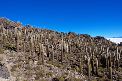 Panoramic view of rock formations against clear blue sky