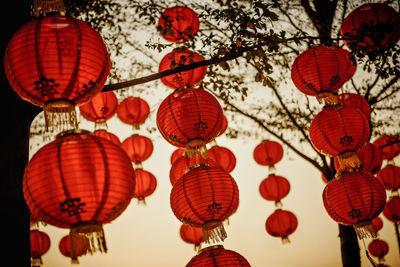 Low angle view of chinese lanterns hanging on tree