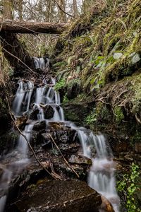 Scenic view of waterfall in forest