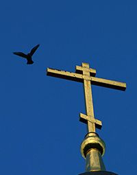 Low angle view of birds against blue sky