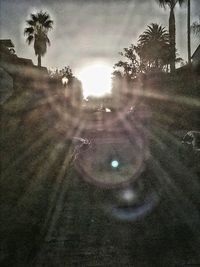 Street by palm trees against sky during sunset