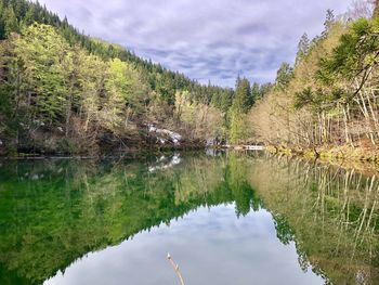 Scenic view of lake in forest against sky