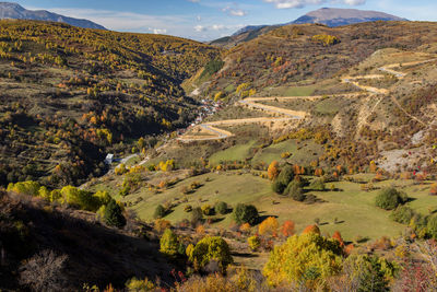 High angle view of trees on landscape against sky