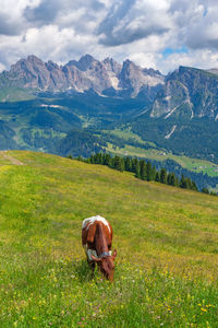 Scenic view of landscape and mountains against sky