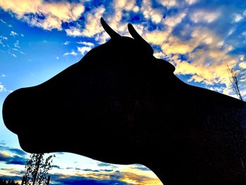 Low angle view of silhouette horse against sky