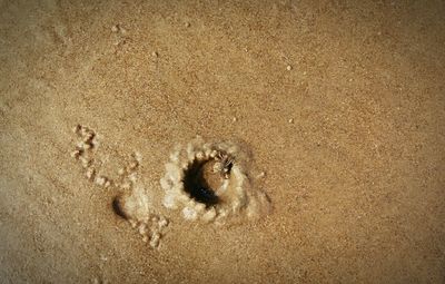 Full frame shot of sand