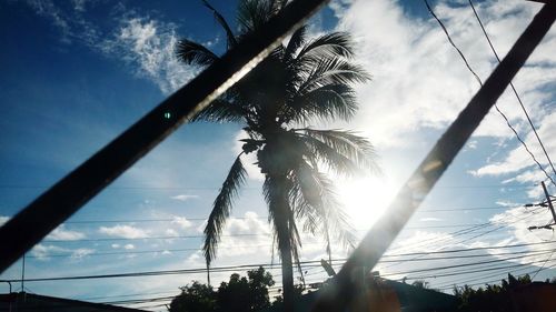 Low angle view of silhouette palm trees against sky