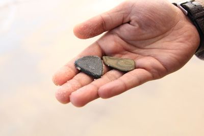 Close-up of hand holding hands