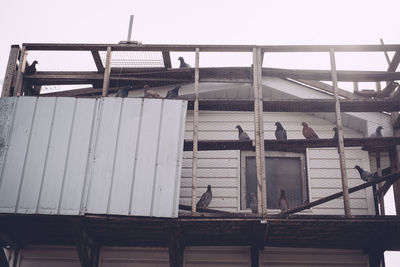 Birds perching on cable against sky