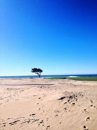 Scenic view of beach against blue sky