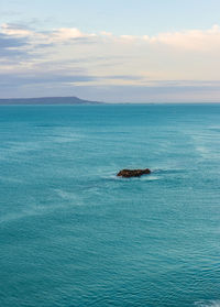 Scenic view of island in the sea against sky