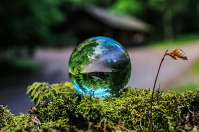 Close-up of crystal ball on glass