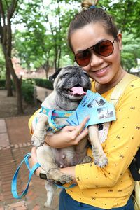 Portrait of woman holding pug 