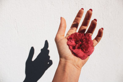 Close-up of hand holding red rose flower